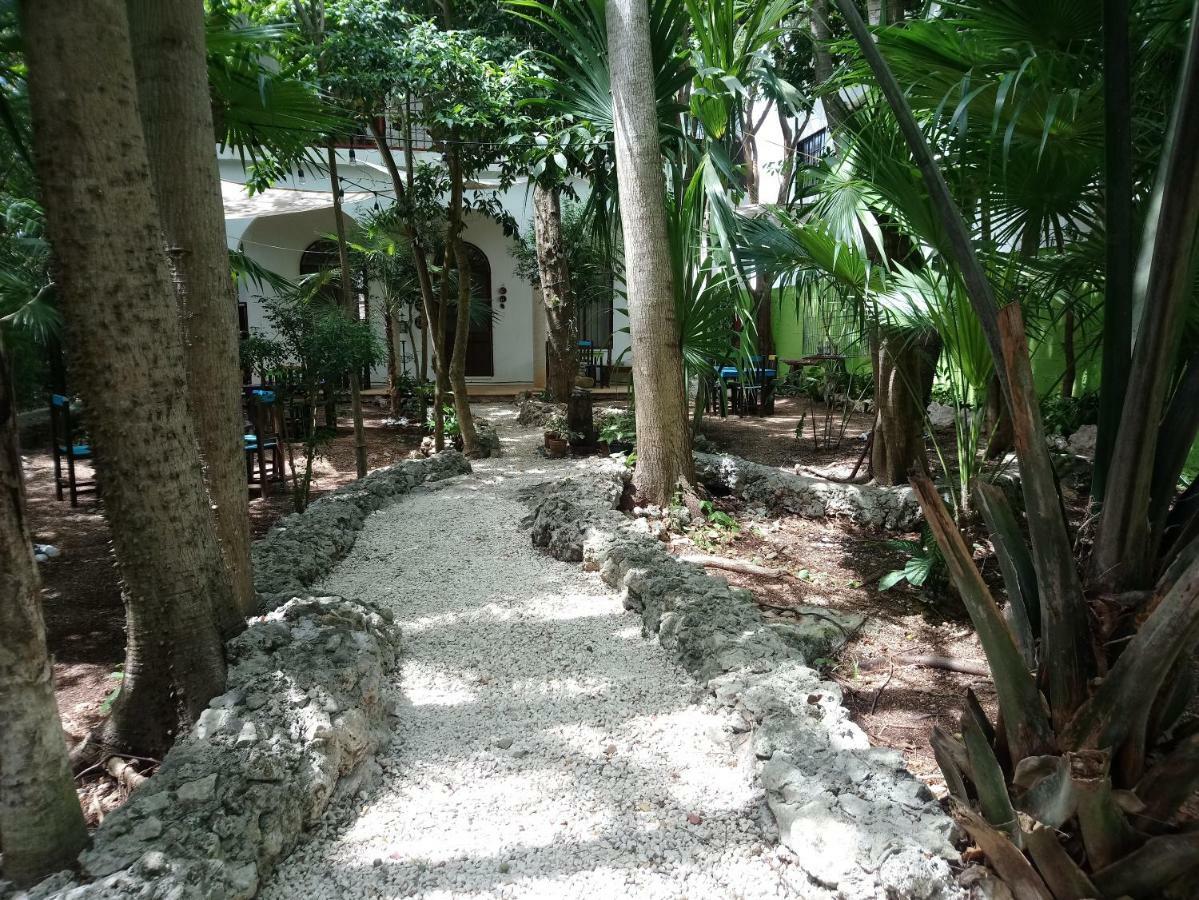 Casita Rustica En La Selva 2* Cancun